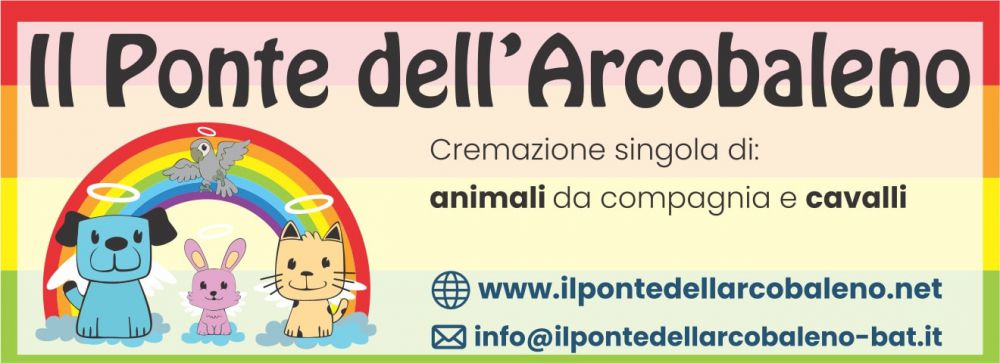 IL PONTE DELL' ARCOBALENO